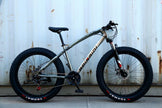 New  Ebike 26inch Bike Mountain Bicycle