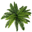 Potted Natural Green Artificial Boston Fern (50cm High 70cm Wide)