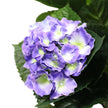 Hortensia artificiel 74 cm en pot (mélange de violets et de jaunes)