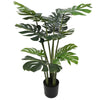 Philodendron fendu (feuille fendue) 120cm