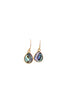 Abalone Teardrop Earrings in Gold