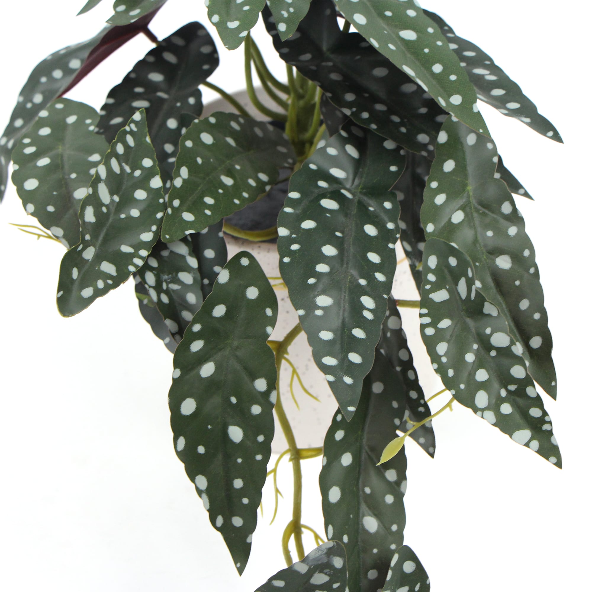 Artificial Begonia Plant in Decorative Bowl 30cm