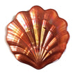 Set/4 SCALLOP SHELL 5.25