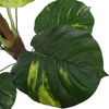 Potted Artificial Pothos Plant With Pole 100cm