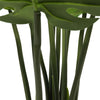 Philodendron fendu (feuille fendue) 120cm