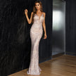 Iris Contras Mesh Plunge Gown