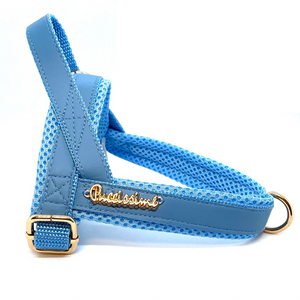 Maya Blue One-Click Harness