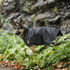 Veste couverture pour chien de l'armée américaine - Noir