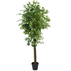 Mixed Green Bushy Artificial Ficus Tree 180cm