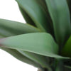 Artificial Agave 50cm No Pot UV Resistant