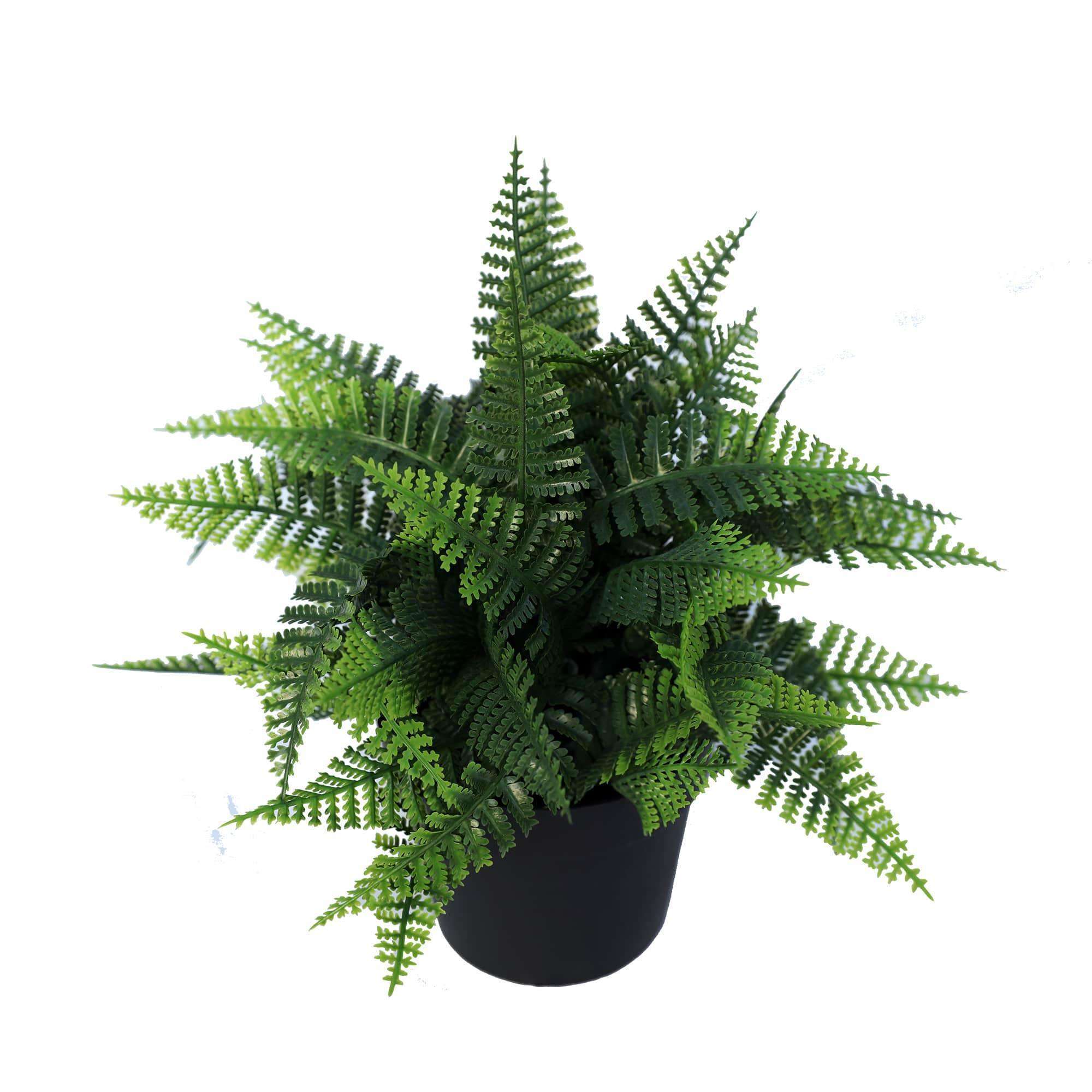 Petite fougère Persa Boston artificielle en pot, plante résistante aux UV, 20cm