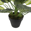 Leopard Lily (Dieffenbachia) With Pot 40cm