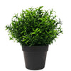 Petite plante artificielle en pot d'herbes de romarin brillantes, résistante aux UV, 20cm