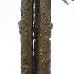 Bushy Artificial Ficus Tree 140cm - Dark Trunk