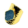 Amy Druzy Statement Ring in Gold