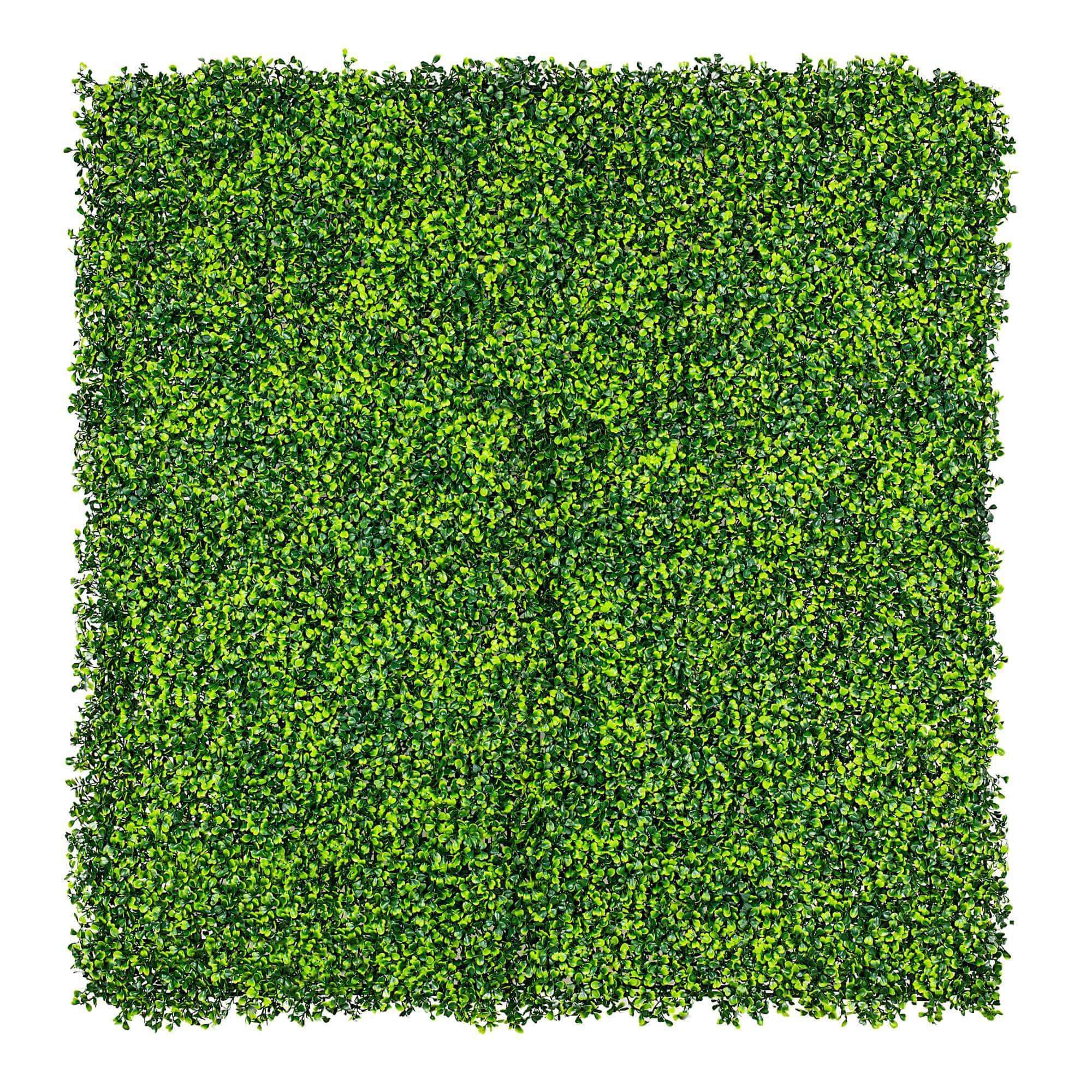 Light English Artificial Boxwood Hedge Panel / Fake Green Wall