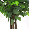 Ficus artificiel 180 cm presque naturel résistant aux UV