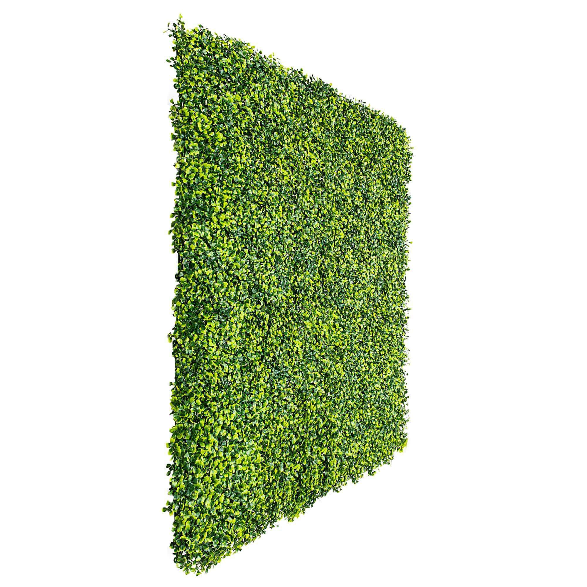 Light English Artificial Boxwood Hedge Panel / Fake Green Wall