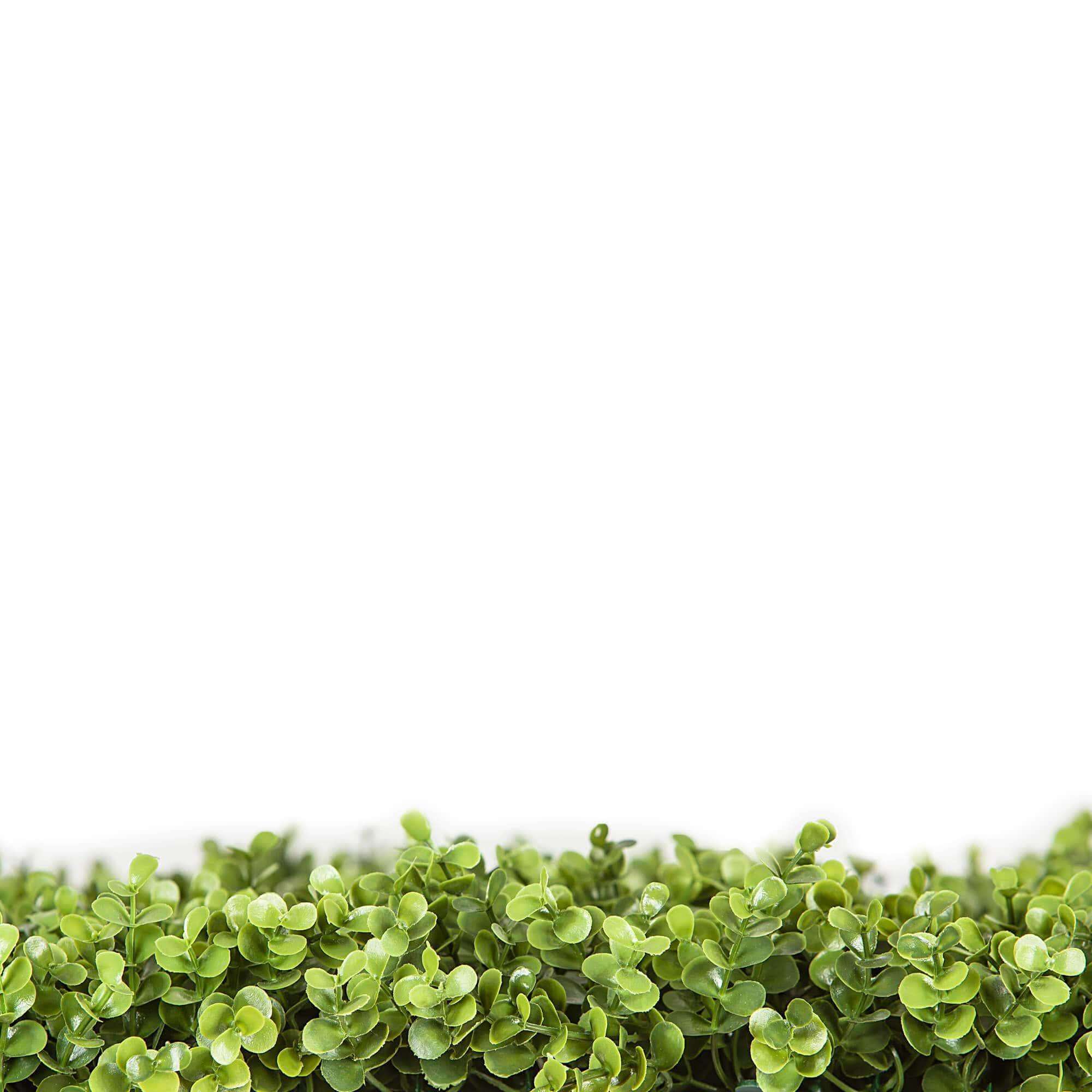 Premium Natural Buxus Artificial Hedge Panel 1m X 1m UV Resistant