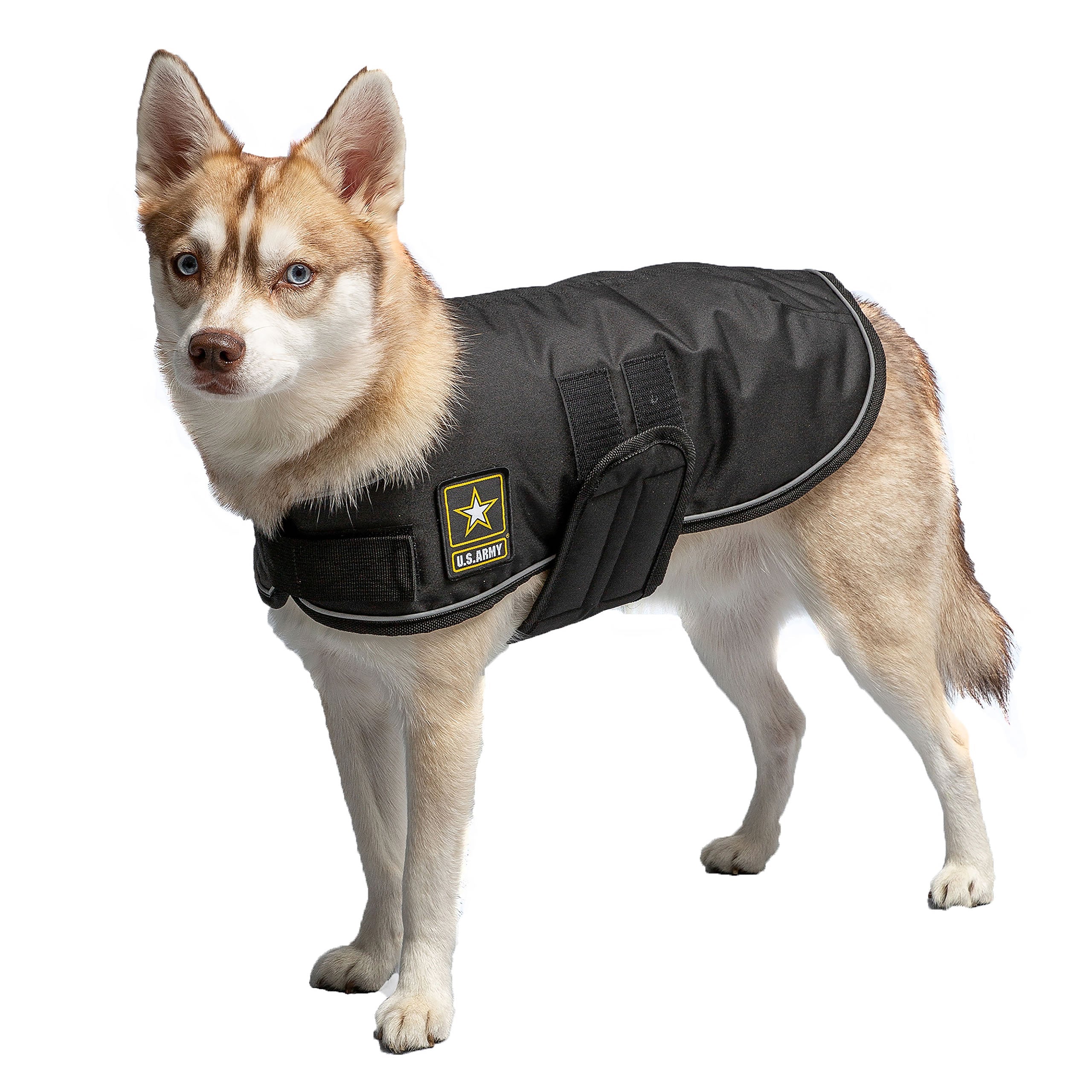 Veste couverture pour chien de l'armée américaine - Noir