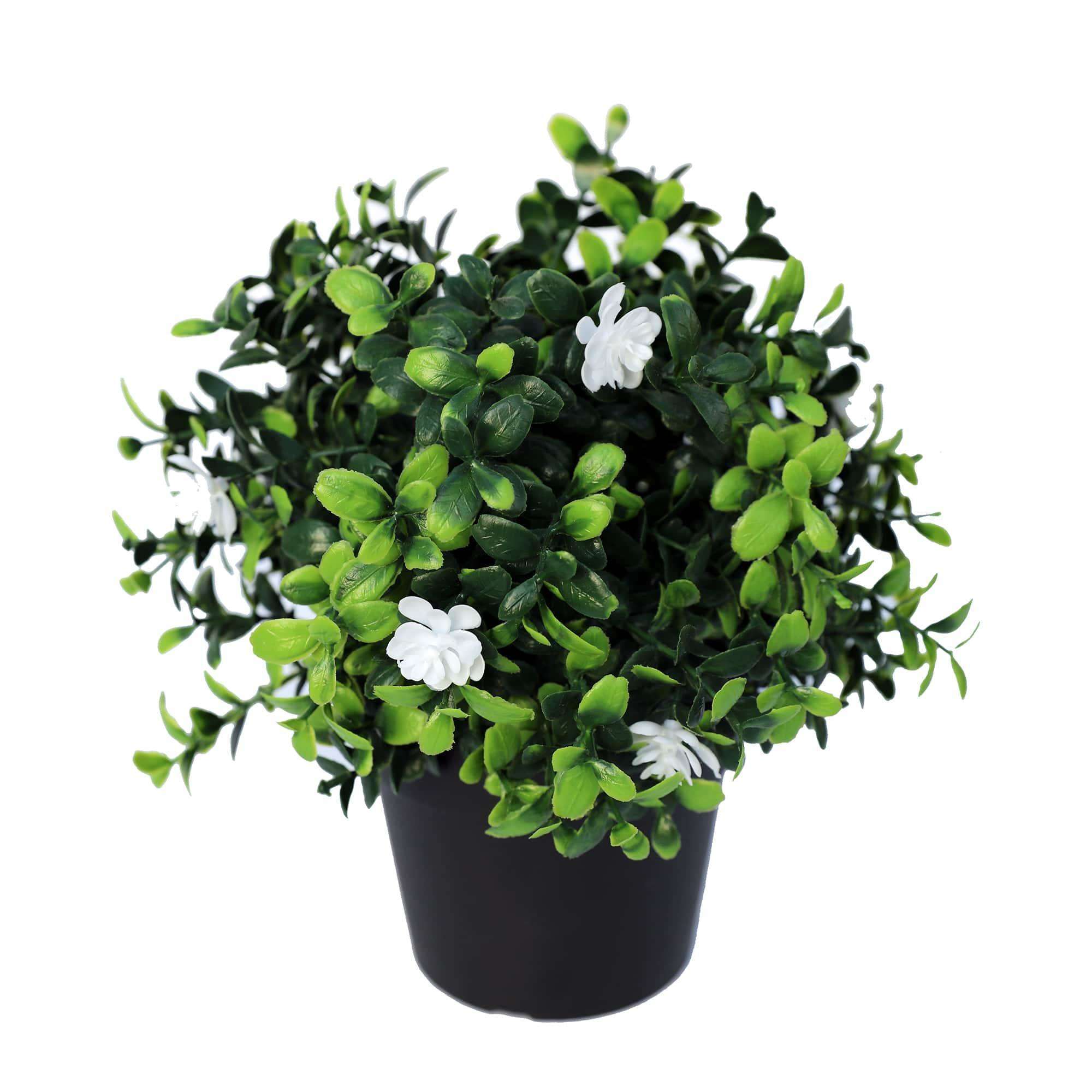 Petite plante de buis à fleurs artificielles en pot, résistante aux UV, 20cm