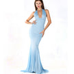 Light Blue Evening Gown