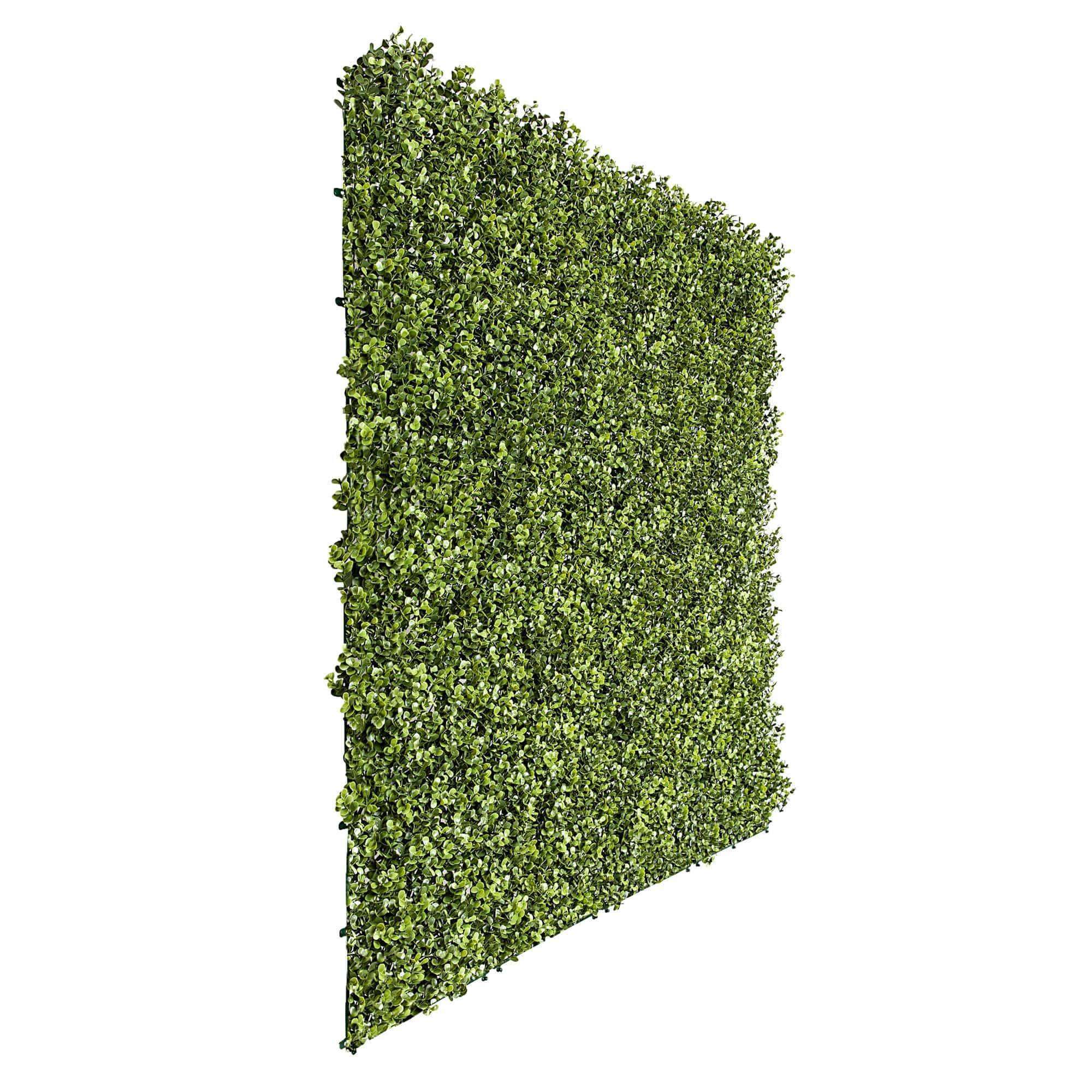 Premium Natural Buxus Artificial Hedge Panel 1m X 1m UV Resistant