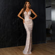 Iris Contras Mesh Plunge Gown