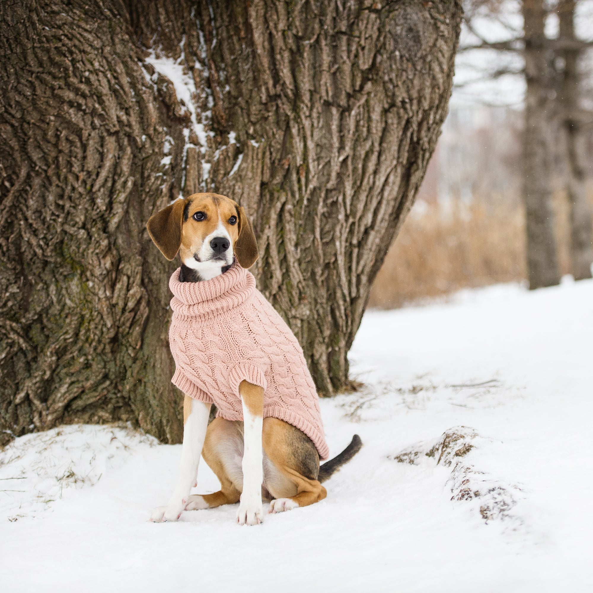 Chalet Sweater - Pink