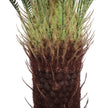 Artificial Cycas / Cycad Palm Tree 105cm UV Resistant