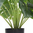 L'usine artificielle mise en pot dense de Philodendron fendue avec le vrai contact laisse 50cm