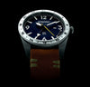 The all 316 grade stainless with blue dial 24h GMT