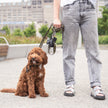 Distributeur de sacs à déjections canines - Noir