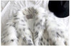 Winter Leopard Print Faux Fur Coats