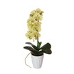 40cm Butterfly Artificial Potted Orchid Cream