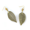 Leaf Earrings With Sterling Silver French Wires