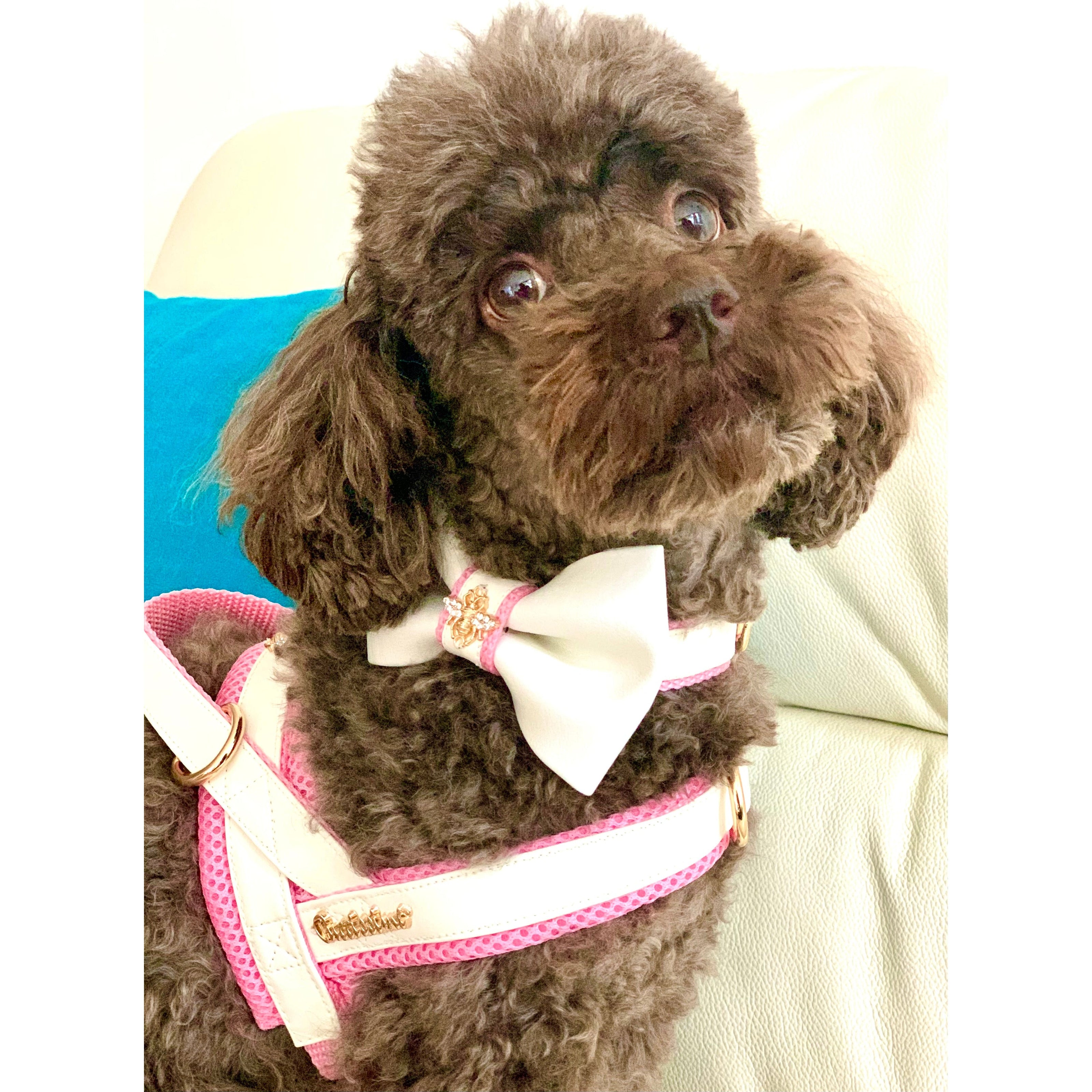 My Baby Girl One-Click Dog Harness