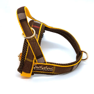 Medallion One-Click Dog Harness