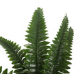 Potted Natural Green Artificial Boston Fern (50cm High 70cm Wide)