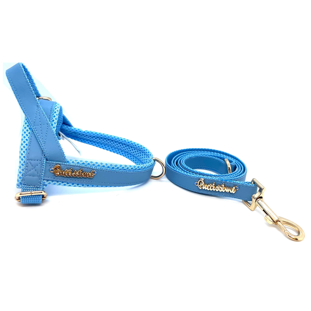 Harnais Maya Blue One-Click