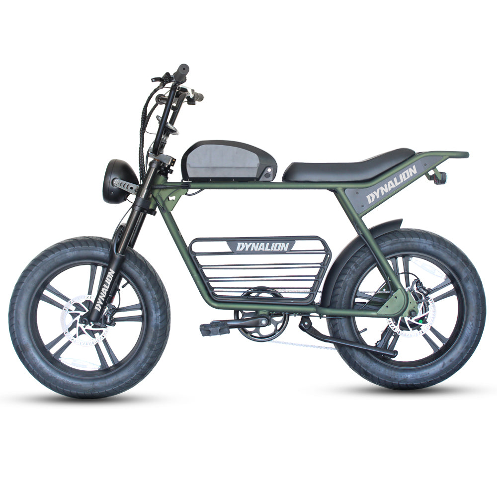 Electric Fat Tire Road Cycle Dirt E Bike – MAISON LA CROIX 1881